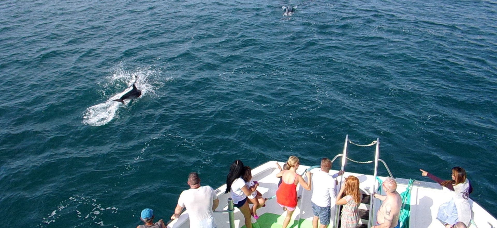 albufeira-sea-tour-1920x880