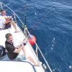 reef fishing algarve coastline